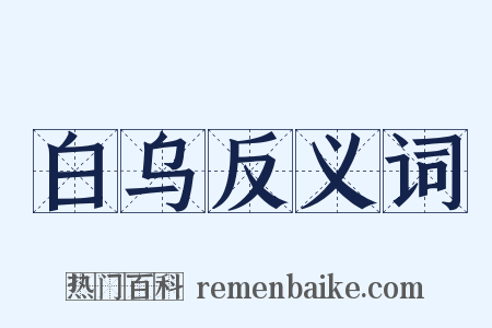 白乌反义词是什么意思的图片